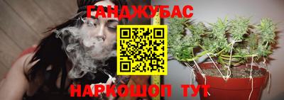 МДПВ Моздок