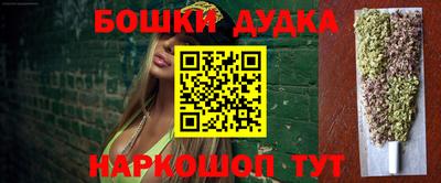 МДПВ Моздок