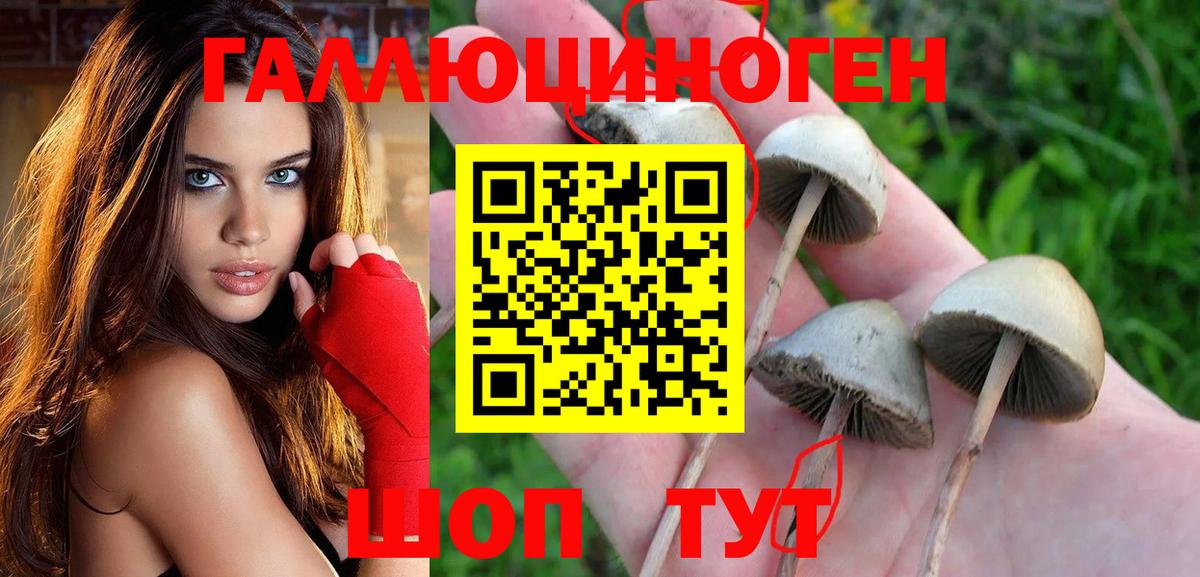 Псилоцибиновые грибы мицелий Ханты-Мансийск