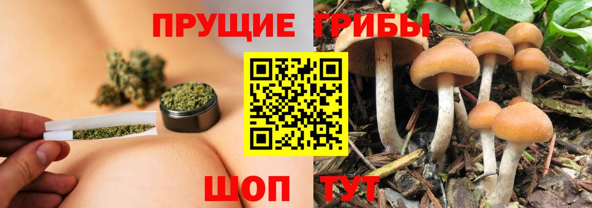 ГАШИШ Ханты-Мансийск